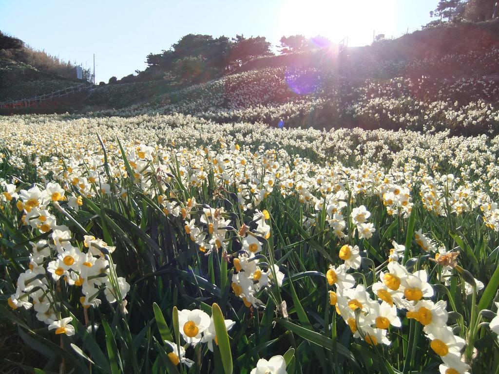 Shimoda Yamatokan Luaran gambar