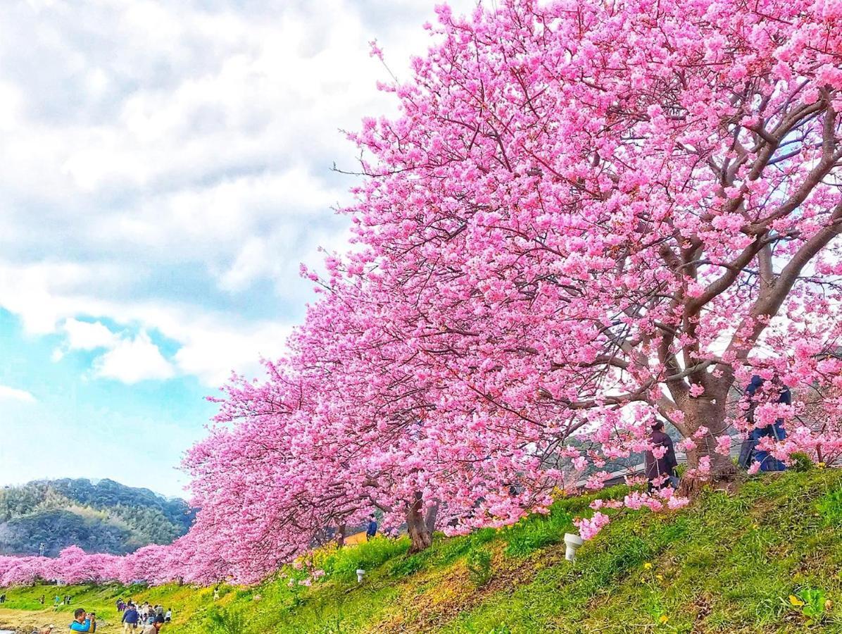 Shimoda Yamatokan Luaran gambar
